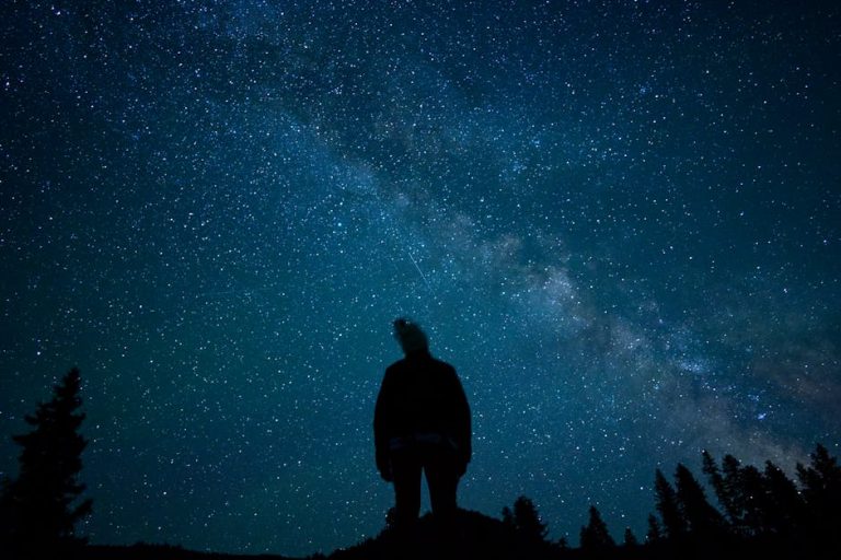 Можно ли использовать Homestar Flux в вертикальном положении